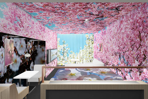 sandwich-anteroom2016_Mika Ninagawa.jpg
